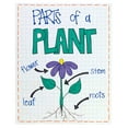 thumbnail image 2 of Heavy Duty Anchor Chart Paper, 1" Grid Ruled, 24"W x 32"L, 25 Sheets, 2 of 2