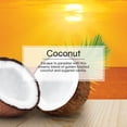 thumbnail image 4 of Ambientador para Auto LITTLE TREES Aroma a Coco, Paquete de 24, 4 of 8
