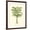 Brown Frame, variant on Art.com Coastal Palm III Art Print, 12" x 16"