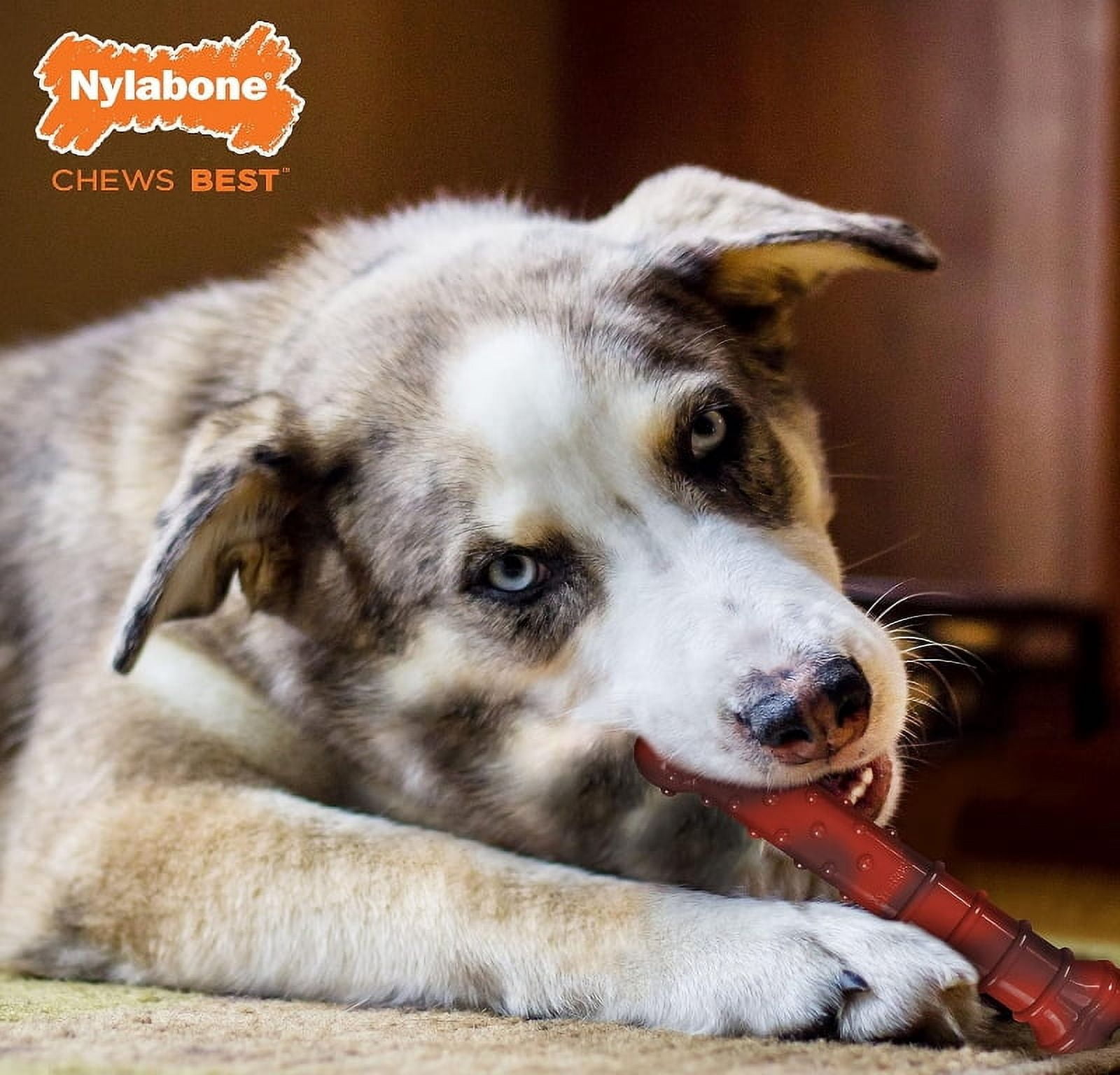 Nylabone Power Chew Flavor Frenzy Chew Beef Jerky and Chicken Flavor Giant [New Dog Supplies, Dog Chew Toys, Nylabone, Dog Supplies] 1 count