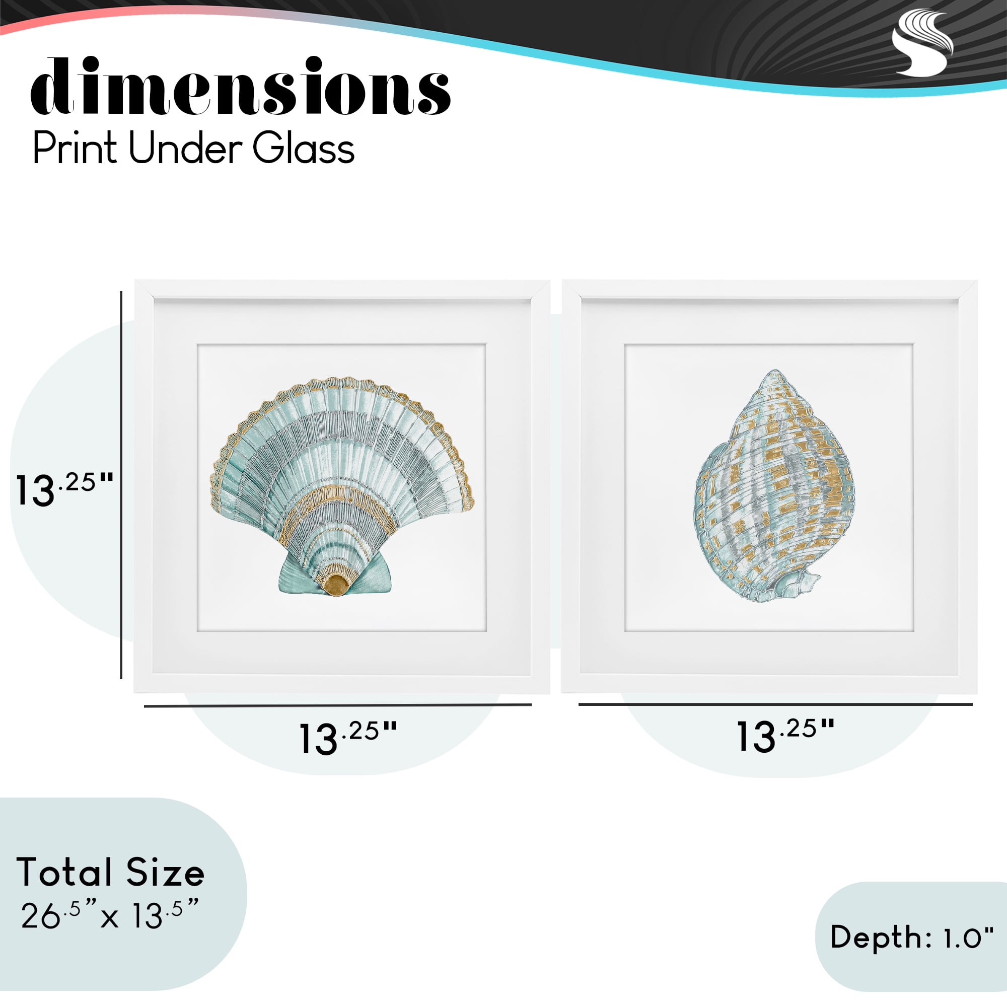 Stupell Industries Regal Clam Shell Duo 2 Piece White Framed Print Under Glass Set, design by Lorenzo Collective