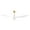 Golden & White, variant on POPFAN 60 Inch Modern Ceiling Fan with 3 ABS blades Remote Control Ultra-quiet Reversible DC Motor without Light for Indoor Outdoor, Patio, Golden & White