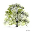 thumbnail image 2 of Loreth, Lanie 26x26 Black Ornate Wood Framed with Double Matting Museum Art Print Titled - Tree with Green Leaves II, 2 of 4