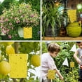 thumbnail image 7 of Visland 10PCS Sticky Traps Fly Paper, Dual-Sided Fruit Fly Traps Fungus Gnat Trap Killer for Outdoor Pest Insects Catcher, 7 of 7