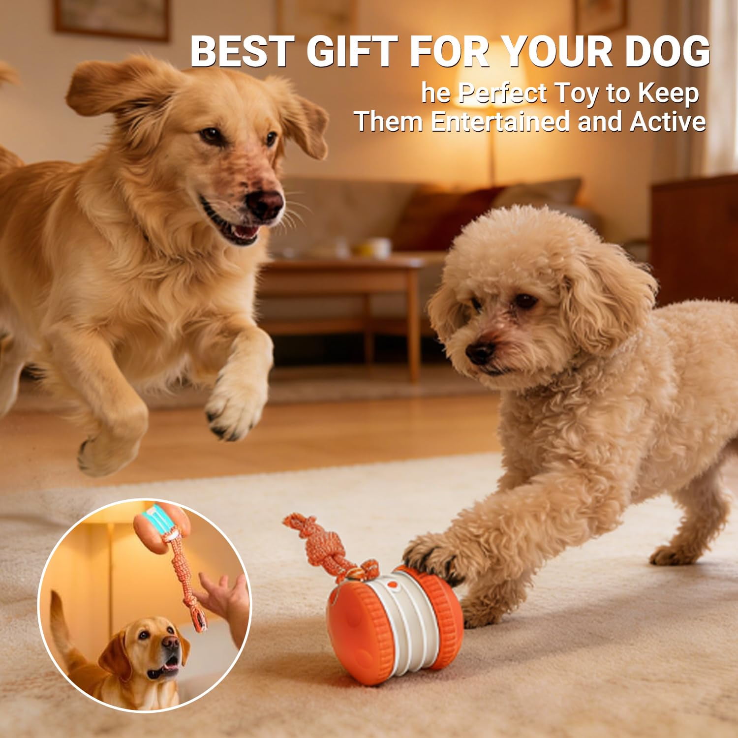 Rolling Dog Toy – Automatic Electric Rolling Pet Toy, Interactive Motion Activated Ball with Rope, Random Movement, 2 Modes, Indoor Play for Boredom Relief