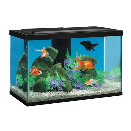 Tetra Complete LED Aquarium Kit for Goldfish, 20 Gallons, Includes White and Red LED Lights, Filter and Accessories