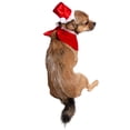 thumbnail image 3 of Pet Krewe Christmas Santa Dog Costume - Small Hat and Collar Set for Xmas Holiday Fun! - Perfect for Halloween, Parties, Photoshoots, Gifts for Dog Lovers, 3 of 8