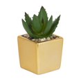 thumbnail image 1 of Kibo Mini Faux Succulent Gold Pot, 1 of 4