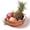 Brown, variant on Food Storage - Storage Rack - 20X20 Fruit Storage Basket(1*Storage Basket - Brown)
