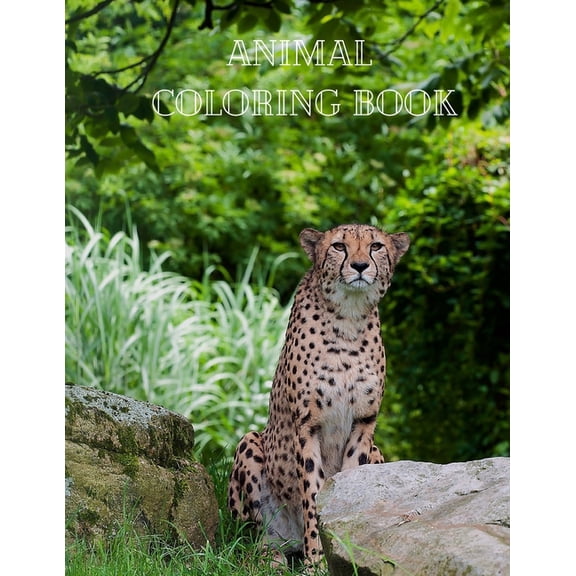 Animal Coloring Book: Actvity Coloring Pages for Kids (Paperback)