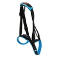 thumbnail image 5 of Adjustable Dog Lift Harness For Back Legs Pet Support Help Stand Up Sling, 5 of 6