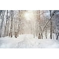 thumbnail image 2 of GreenDecor 7x5ft White Snow Photography Background Forest Backdrops Wedding,Child,Baby,Newborn Booth Props, 2 of 4