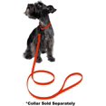 thumbnail image 5 of DogLine - Biothane Waterproof Dog Leash Strong Coated Nylon Webbing with Black Hardware Odor-Proof for Easy Care Clean High Performance for Small or Large Dogs(Neon Orange: Width 3/4" | L: 24"(2ft)), 5 of 7