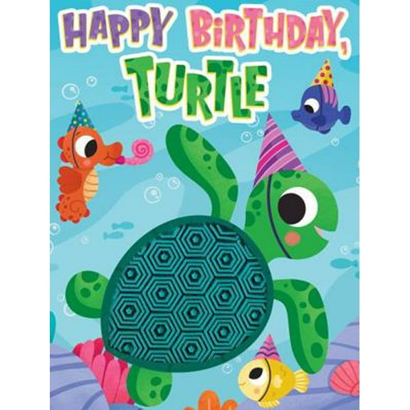 Pre-Owned Little Hippo Books Happy Birthday Turtle I Ocean Children's Books Ages 1-3 | Touch and Feel Books for Toddlers 1-3 & Baby Books | Best Kids Books and .... (Unknown) 1960009184 9781960009180