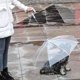 thumbnail image 4 of Paraguas P/perro O Gato Transparente C/cadena 75 Cm Diámetro, 4 of 5