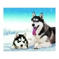 thumbnail image 1 of Popular Home Essentials, Dog Fleece Throw Blanket 50X 60, 1 of 4