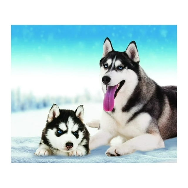 Popular Home Essentials, Dog Fleece Throw Blanket 50X 60