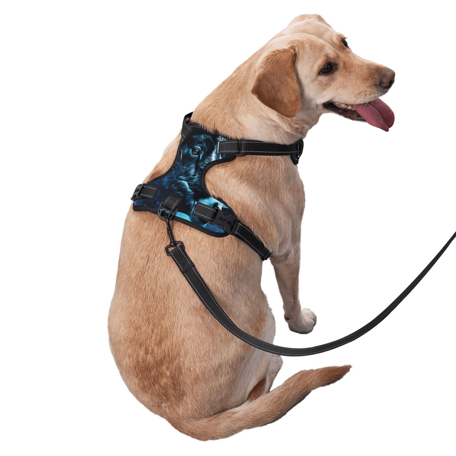 Naloa Celestial Ram Night Sky Dog Harness, Pet Harness Vest with Traction Rope, Dog Vest for Outdoor, Walking - {sizeName}-Small