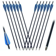 12PCS 20" Crossbow Arrows/Bolts, Carbon Shaft Crossbow Arrows/Bolts, Stainless Steel Screw-in Arrowhead Point Tip Arrows, Orange