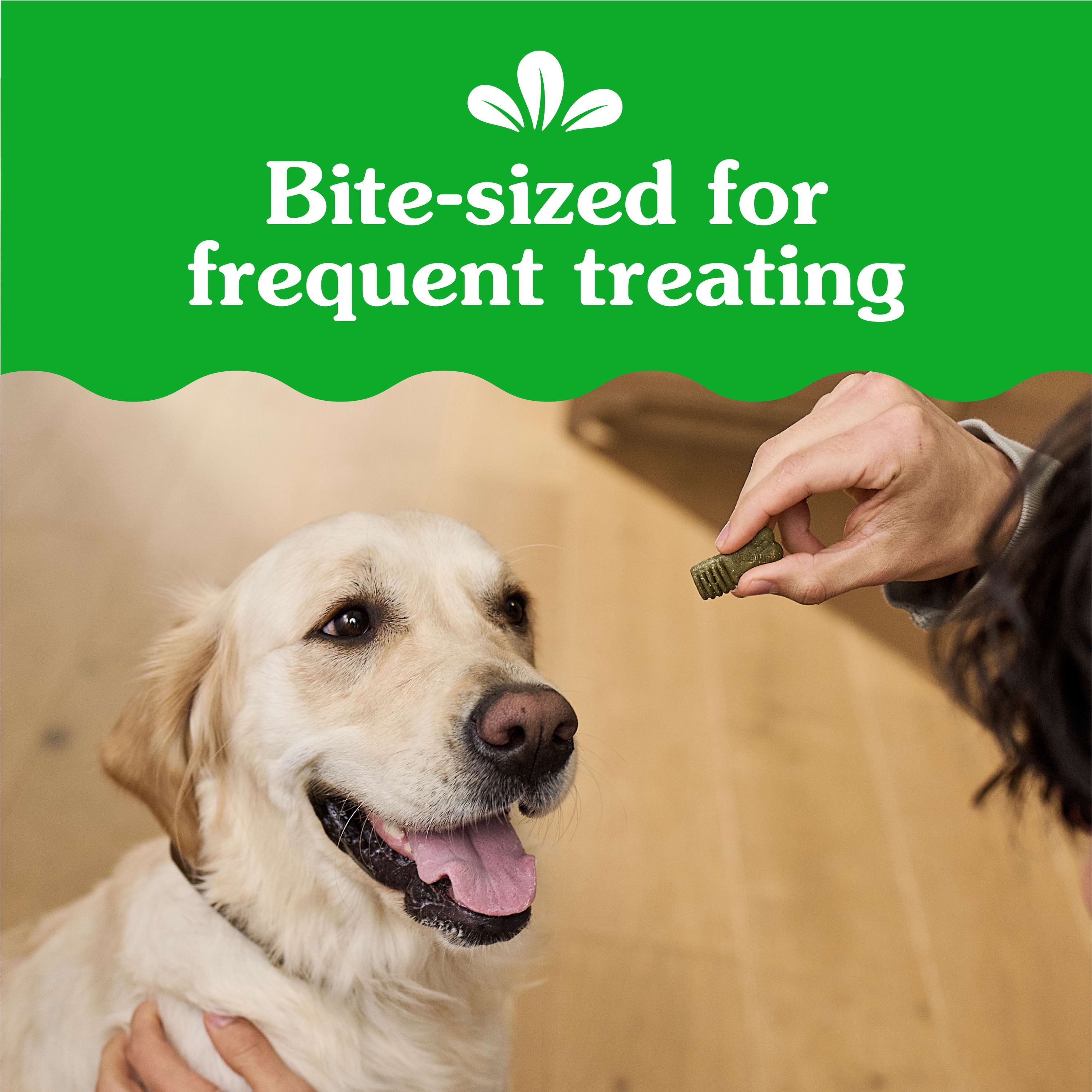 Greenies Anytime Bites Dog Treats, Mint Flavor, 24 oz bag
