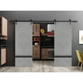 thumbnail image 3 of Sturdy Double Barn Door 60 x 96 inches with | Planum 0012 Concrete with Frosted Glass | 13FT Rail Hangers Heavy Set | Solid Panel Interior Doors, 3 of 6