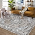 thumbnail image 1 of TROPOW Washable Area Rugs,Rugs for Living Room Bedroom Decor Oriental Vintage Carpet Non Skip Floor Mats Distressed Large Rug for Classroom Nursery Dining Room Office, 1 of 7