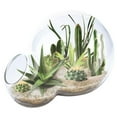 thumbnail image 1 of Desert Escape Growarium, 1 of 5