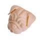 thumbnail image 1 of Divertida tapa de pasta de dientes con forma de carlino vomitando, adorno original para dispensador de pasta de dientes, regalo de broma para amigos., 1 of 8
