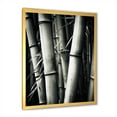 thumbnail image 4 of Designart "Black And White Photo Of Bamboo III" Bamboo Picture Framed Canvas Prints, 4 of 5