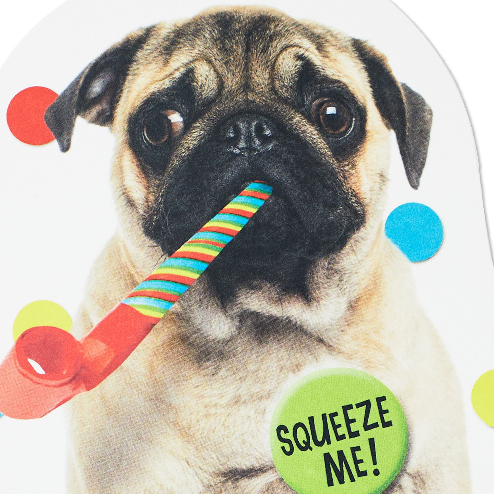 Hallmark Funny Musical Birthday Card with Sound (Impossible to Ignore)