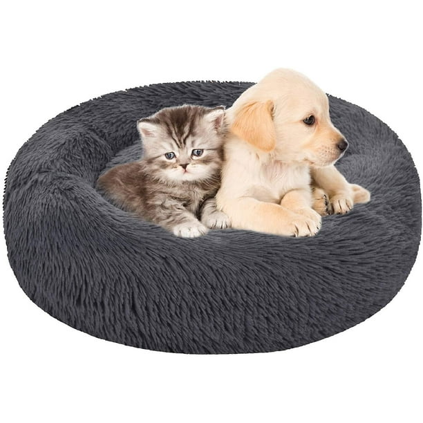 Hot dog hotsell bed for dachshunds