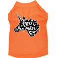 thumbnail image 1 of Born To Be A Unicorn Screen Print Dog Shirt Orange Xxl (18), 1 of 1