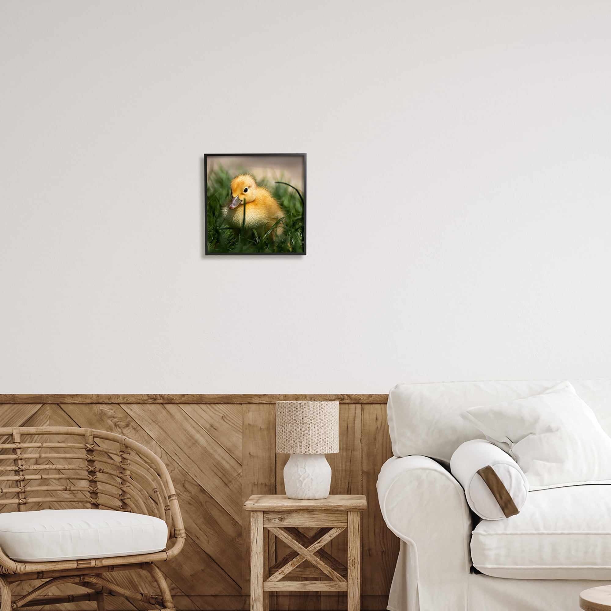 Stupell Industries Baby Duckling in Grass Photography Animals & Insects Photography Black Framed Art Print Wall Art