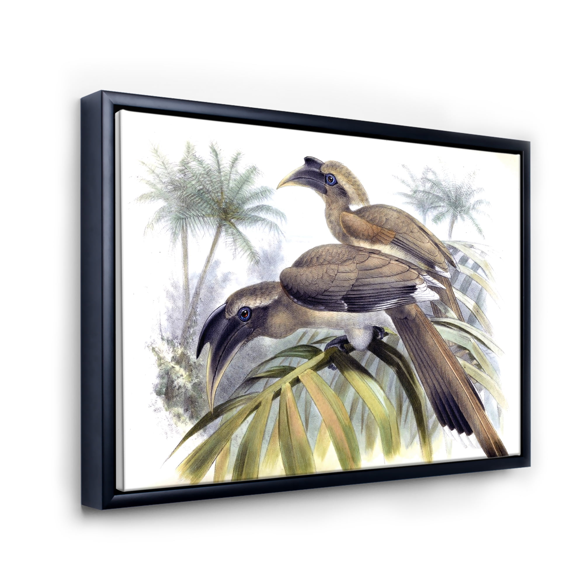 Designart 'Ancient Australian Birds XIV' Traditional Framed Canvas Wall Art Print