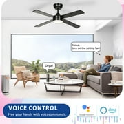 DEXTRUS 48 Black LED Downrod Mount Indoor/Outdoor Ceiling Fan with Remote Control