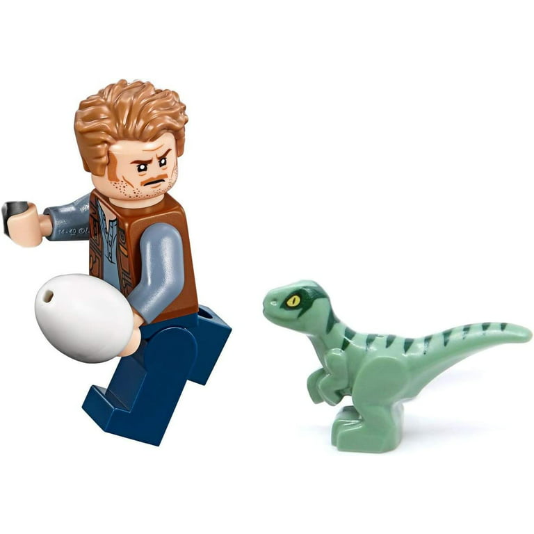LEGO Jurassic World Fallen Kingdom Owen Grady Minifigure (with Blue the Raptor and Dinosaur Egg) 75930 - Walmart.com