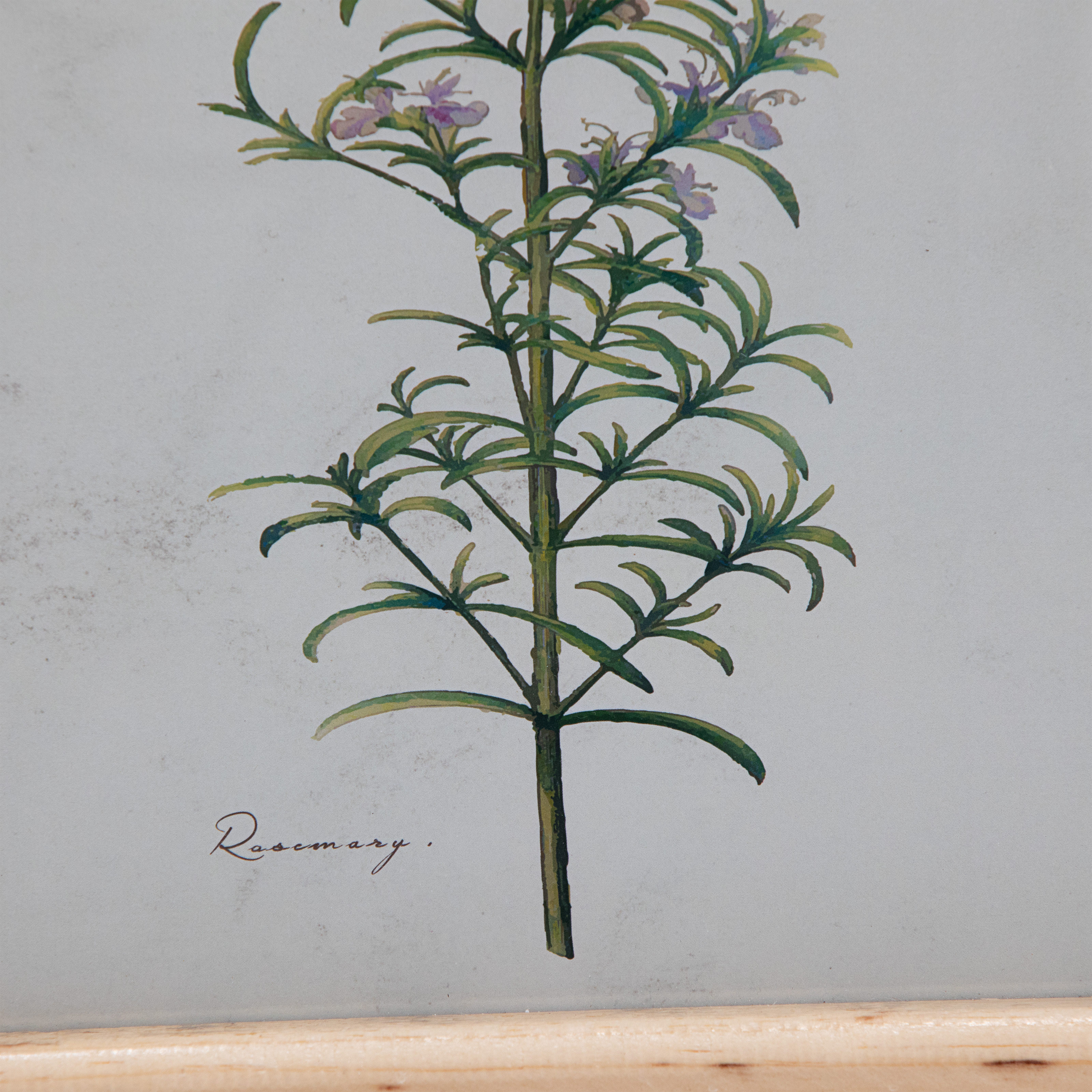 Drew Barrymore Flower Home Floral Framed Art Prints, Set of 4 - image 3 of 12