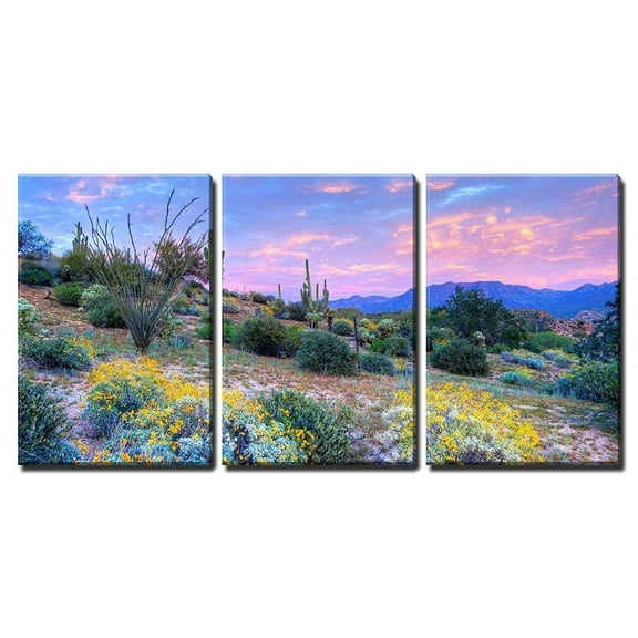 wall26 - Blooming Desert at Sunset - Canvas Art Wall Art - 24"x36"x3 Panels