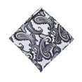 thumbnail image 3 of Eosunjian Men's Pocket Square Handkerchief Paisley Wedding Party Decorative Suit Hanky Black, 3 of 13