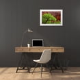 thumbnail image 3 of Paulson, Don 24x17 White Modern Wood Framed Museum Art Print Titled - Utah, Arches NP Cottonwood tree against red rock, 3 of 4