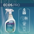 thumbnail image 4 of 32 oz. Glass Cleaner Spray Bottle - Vinegar Scent (6/Carton), 4 of 9