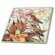 3dRose Catasetum and Cypridediums by Edward J. Detmold Orchid and Hummingbirds - Ceramic Tile, 6-inch
