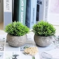 thumbnail image 5 of Hirsch Plantas falsas para decoración del baño/oficina del hogar, pequeñas plantas artificiales de imitación para decoración del hogar (plantas en maceta), 2 uds., 5 of 5