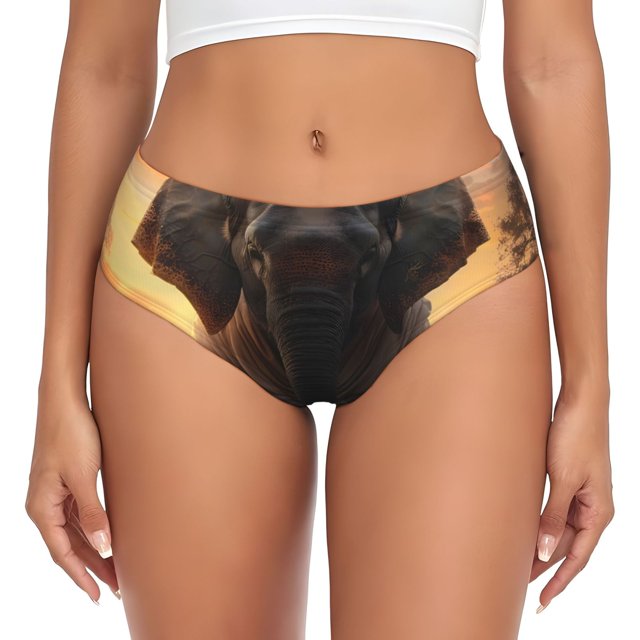 Balery Lake Meditating Elephant Ropa Interior de Algodón para Mujer con Dibujo – Braguitas Cómodas y Elásticas, Estilo Clásico-Large