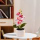 thumbnail image 3 of Orquídea Phalaenopsis Artificial, Decoración de escritorio de oficina boda, rosa blanco con puntos rojos, 3 of 6