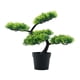 thumbnail image 5 of Bonsái artificial compacto, planta artificial en maceta para escritorio, mesa, entrada del hogar Verde claro, 5 of 9