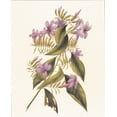thumbnail image 2 of Unknown 20x24 Gold Ornate Wood Framed with Double Matting Museum Art Print Titled - Botanical II, 2 of 4
