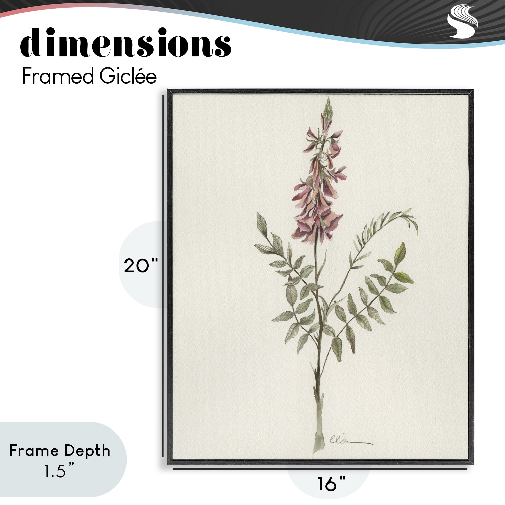 Stupell Industries Nature's Delicate Herb Sprig Black Framed Giclee Art, design by Cady Driver