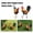 C001- Color A, variant on Yard Decorations Outdoor, Outdoor Metal Art, Chicken Figure, Lawn and Garden, Backyard, 31 In, Mixed Hue, 1 Pc