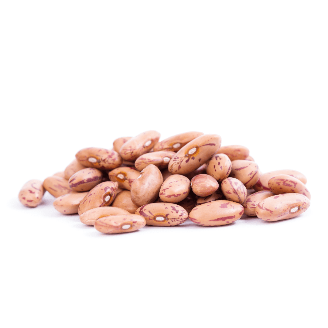 Pinto Beans, 25LB BAG, USA Grown, USDA Certified Organic & GMO Free, Sustainable Farming Practices-Mountain High Organics